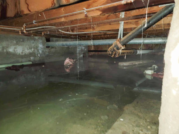 Best Emergency water extraction  in Altamont, OR