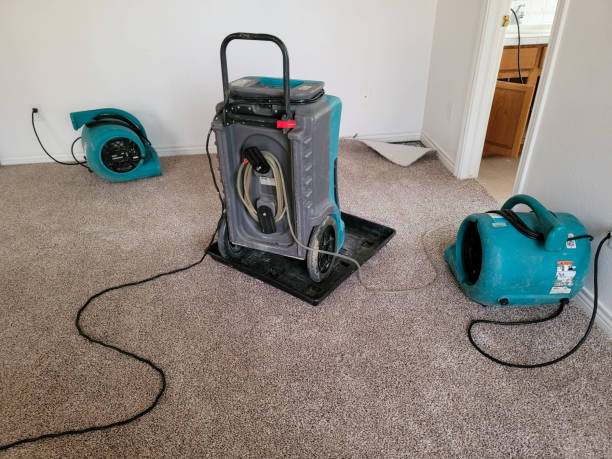 Best 24/7 water damage repair  in Altamont, OR