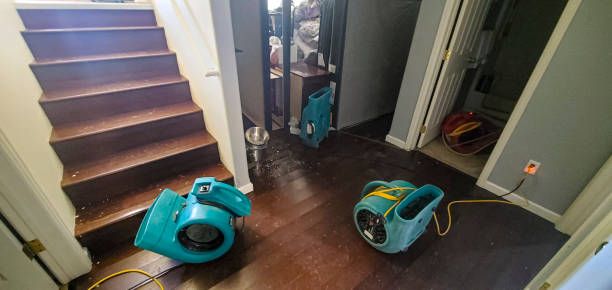 Best Flood restoration services  in Altamont, OR
