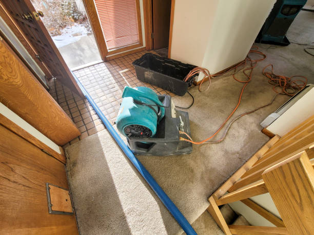 Best Residential water damage restoration  in Altamont, OR