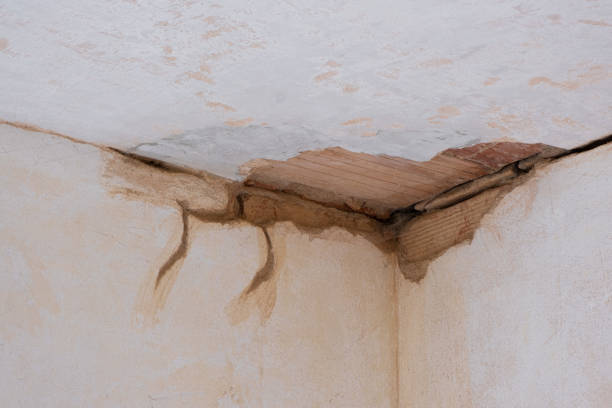 Best Carpet water damage restoration  in Altamont, OR