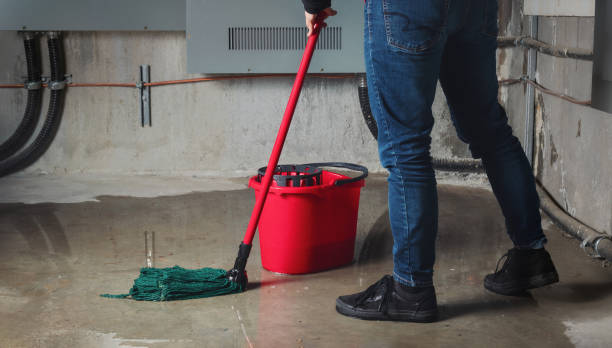 Best Local water damage restoration  in Altamont, OR