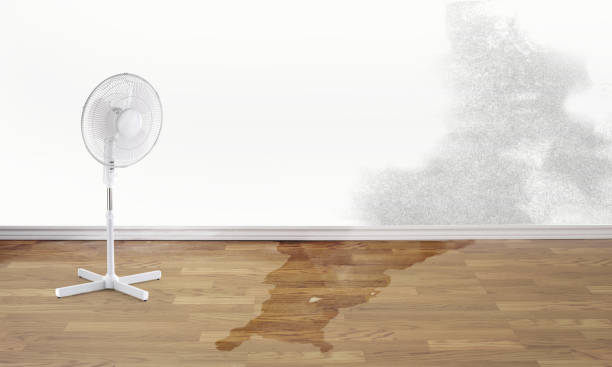 Best Basement water damage restoration  in Altamont, OR