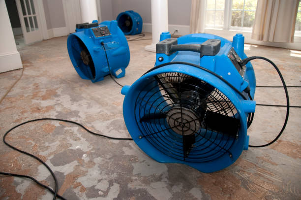 Best Water damage restoration cost  in Altamont, OR