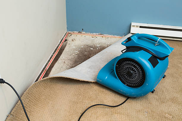 Trusted Altamont, OR Water damage restoration Experts